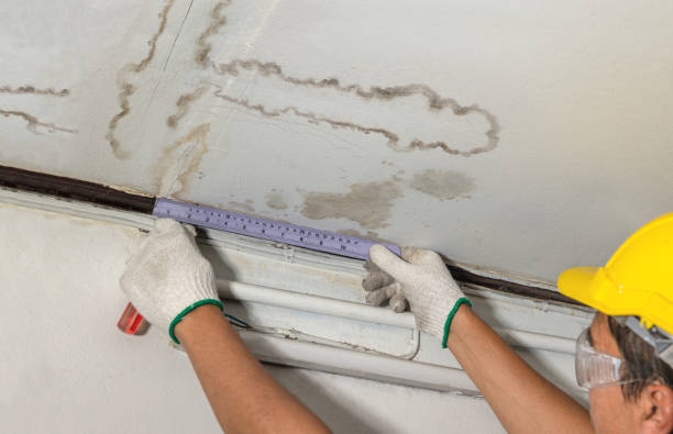 Reliable Water Damage contractor in Connecticut, CT by Water Damage Irwin